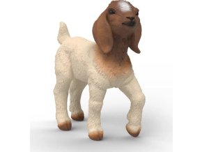 1d4c10d12dba808b5bee2ac77a3285ea