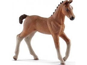 Schleich 13818 Hanoverské hříbě