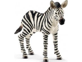 Schleich 14811 Zebra mládě