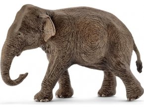 Schleich 14753 Asijský slon samice