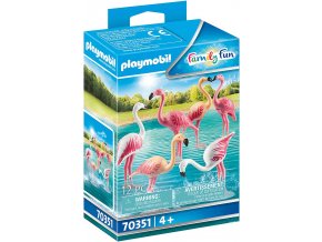 70351 Flamingoschwarm 01 o