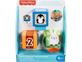 Fisher Price Kostky pro rozvoj smyslů