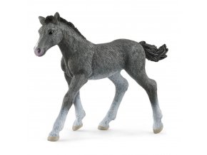 Schleich 13944 Hříbě trakénské