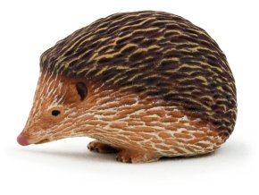 Mojo Animal Planet Ježek