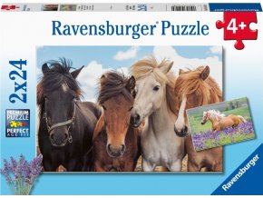 Ravensburger 05148 Fotky koní 2x24 dílků