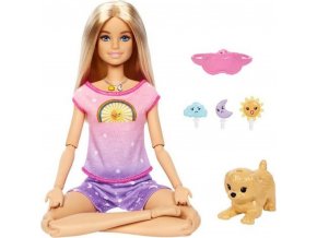 Mattel Barbie® Meditace od rána do večera, HHX64