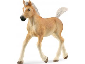 Schleich 13951 Haflingerské hříbě