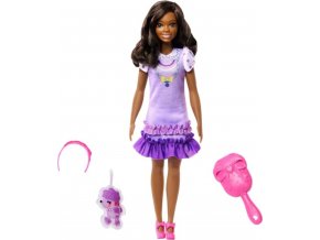 My First Barbie Core Doll with Poodle (schwarze Haare)