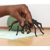 Schleich 13987 Harry Potter™ Aragog