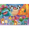 Pokémon 4x100 dílků