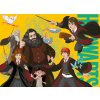 Harry Potter: Mladý čaroděj 100 dílků