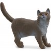 Schleich® 13973 britská krátkosrstá kočka