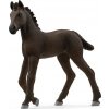 Schleich® 13977 Fríské hříbě