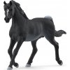 Schleich® 13981 arabský hřebec