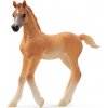 Schleich® 13984 arabské hříbě