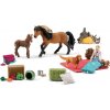 Schleich® 98982 Adventní kalendář Koně 2023