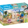 PLAYMOBIL® 71354 Isabella & Lioness mycí box