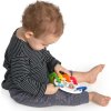 BABY EINSTEIN Kousátko s hrkálkou s C kroužky Shake, Rattle&Soothe™ 0m+