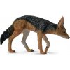 Collecta 88665 Šakal čabrakový
