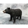 Collecta 88698 Medvěd americký černý