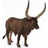 Collecta 88648 Skot Watusi - býk