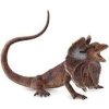 Collecta 88690 Agama límcová