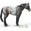 Collecta 88947 Appaloosa Blue grošák