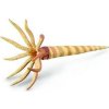 Collecta 88903 Orthoceras