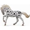 COLLECTA Knabstrupper Mare Černý leopard