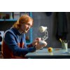 LEGO® Ideas 21357 LEGO Disney Pixar Luxo Jr.