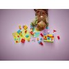 LEGO® DUPLO® 10450 Hopsy a hra s hradem