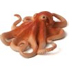 387275 OCTOPUS e1485447372165 540x451