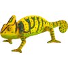387129.animal