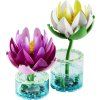 LEGO® Botanicals 11511 Lekníny