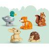 LEGO® DUPLO® 10480 Les plný objevů a divokých zvířátek