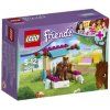 LEGO® Friends 41089 Hříbátko