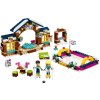 LEGO® Friends 41322 Kluziště v zimním středisku