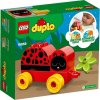 LEGO® DUPLO® My First 10859 Moje první beruška