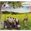 Schleich 42104 myci kout pro kone s prislusenstvim