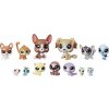 Littlest Pet Shop Velké balení 13 zvířátek