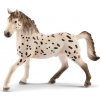 Schleich 13889 Hřebec Knabstrupper