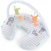 Ingenuity Polštář na kojení s hrazdičkou Hop Art™ 0m+