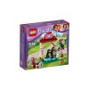 LEGO® Friends 41123 Mytí hříbátka