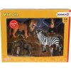 Schleich 42387 Set Divoká zvířata 4ks