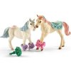 Schleich 41452 Set elfích hříbat s krmivem