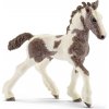 Schleich 13774 Tinkerské hříbě