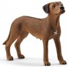 Schleich 13895 Ridgeback rhodéský