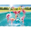 70351 Flamingoschwarm 02 o