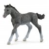 Schleich 13944 Hříbě trakénské