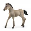 Schleich 13949 hribe Criollo Definitivo 1